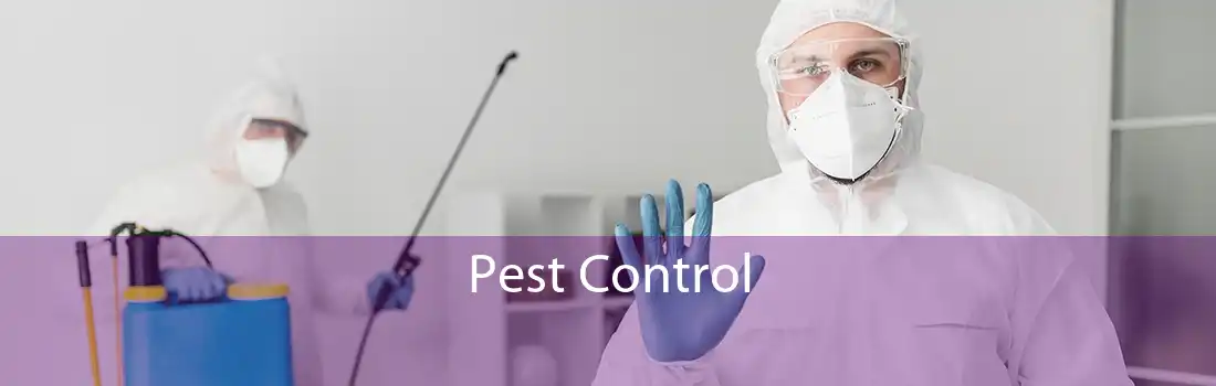 Pest Control